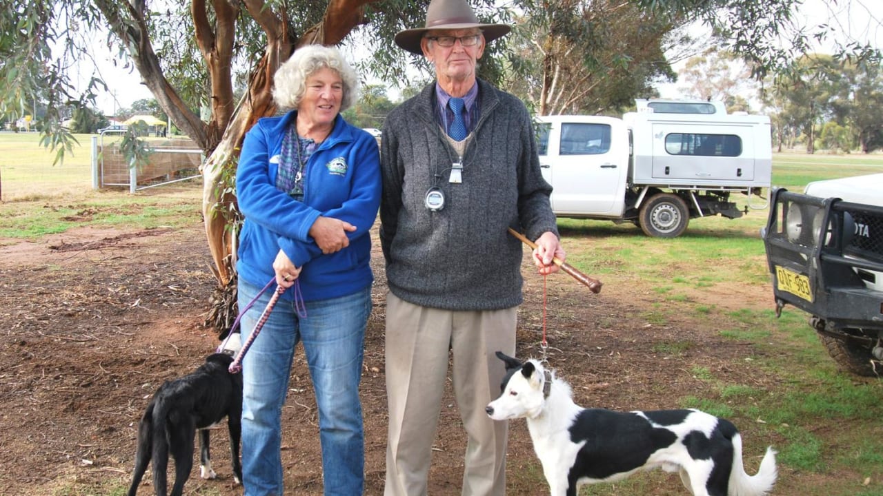 to help local Finley cancer patients