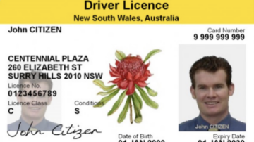 driver licence