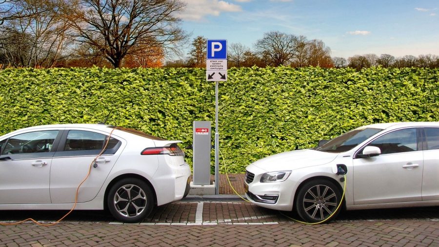 regular hybrids to park