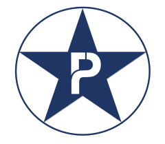 Payless Fuel logo